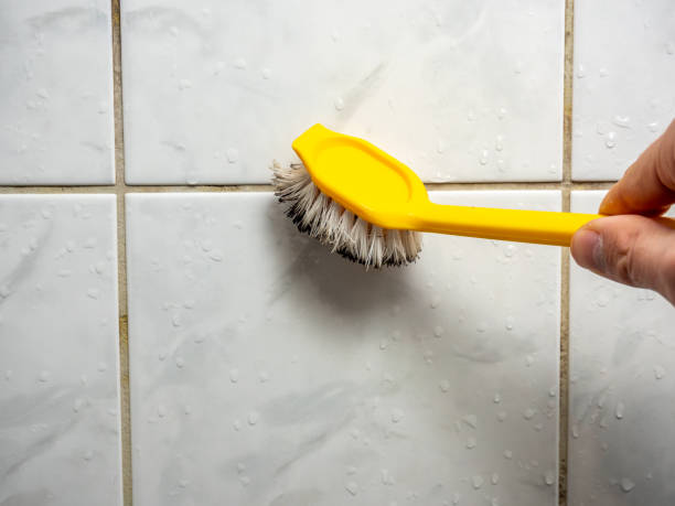 Best Industrial Mold Remediation in Warsaw, IL