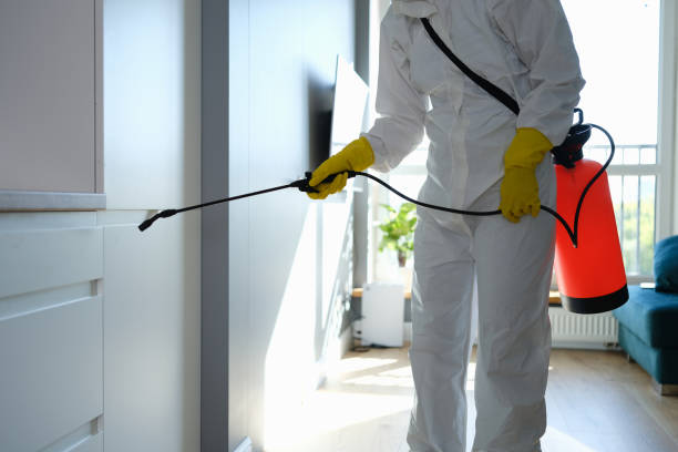 Best Insurance-Related Mold Remediation in Warsaw, IL